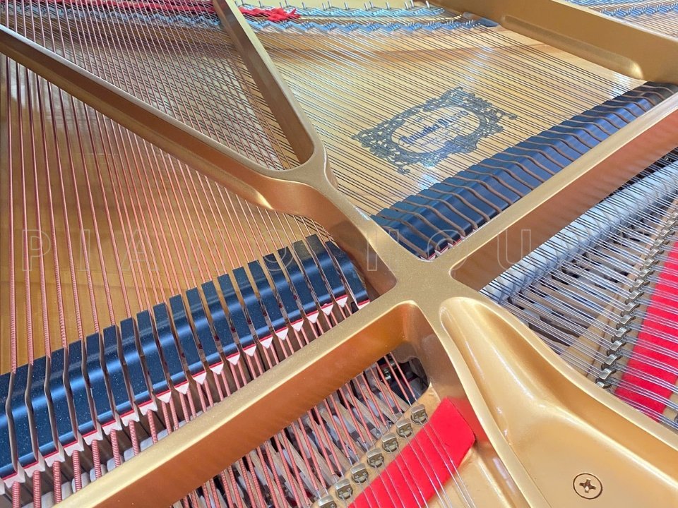 Hình ảnh chi tiết YAMAHA S6 Walnut góc chụp 7